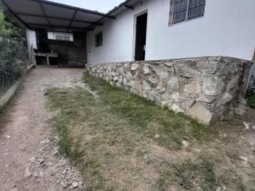 Dillet Propiedades