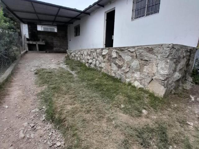 Dillet Propiedades