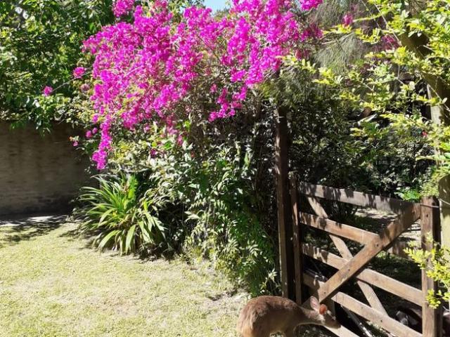 Dique Luján | Alquiler temporario | Lindas cabañas con jardín y pileta para 4 o 5 personas