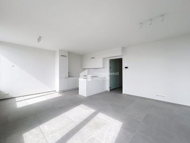 Direct from the owner 3 bedroom apartment for rent