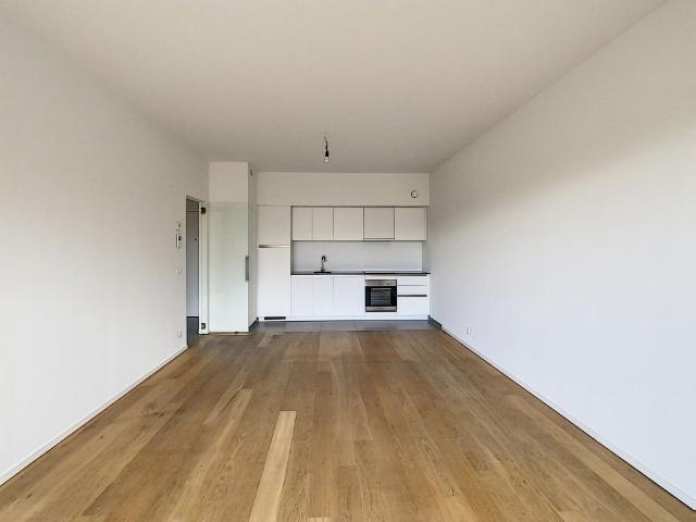 Direct from the Owner Beautiful 1 Bedroom Apartment