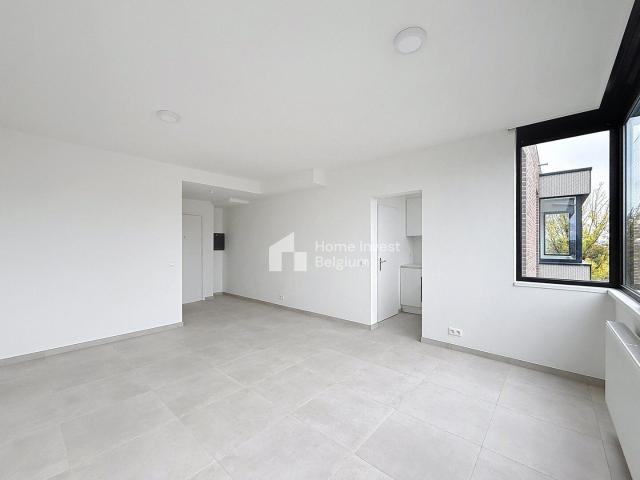 Direct from the Owner Renovated Studio for Rent