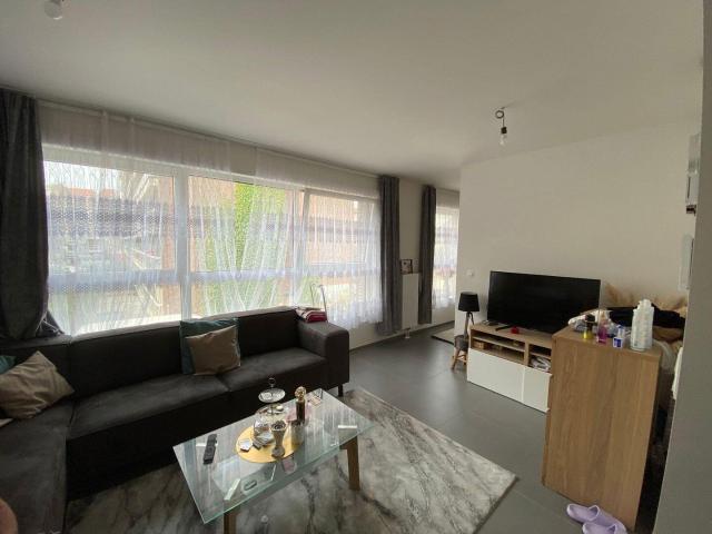 Directly with the owner studio