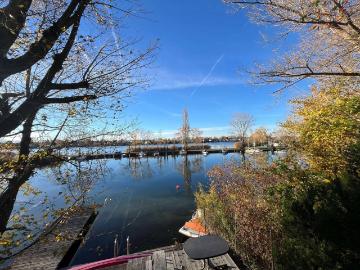 Direkt am Neufeldersee: Uferparzelle mit kleinem Häuschen auf Esterhazy Pachtgrund