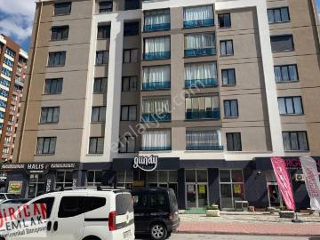 Selçuk Mah  Neighbourhood, Konya, Konya ili, İç Anadolu Bölgesi