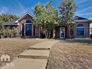 Dallas County, Texas, Texas, USA - Fireplace