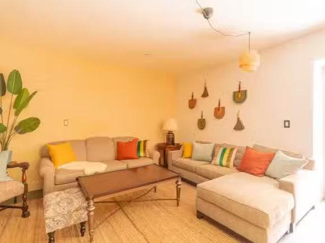 Discover the amazing world of coliving in Bed Stuy