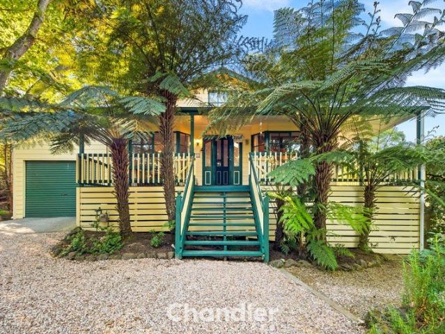 Discover the Magic of Hills Living