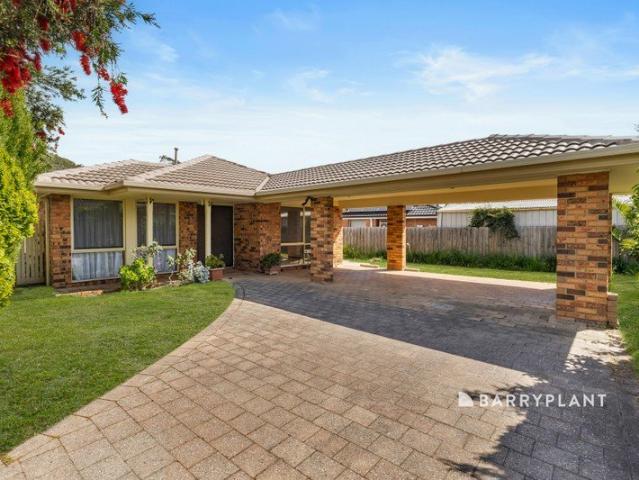 Discover the Space, Comfort & Potential of This Hampton Park Family Gem!