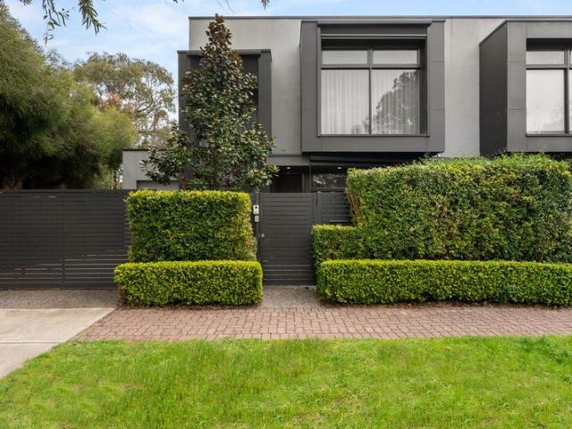 Discover this exceptional modern home at 49 Cudmore Terrace where beach living and parkside convenience meet