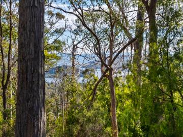 Nubeena, Tasman, Tasmania, Elephant Rock, Cloudy Bay, Kingborough, Tasmania Island