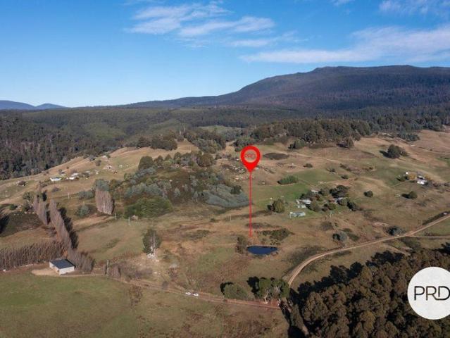 Discover Your Dream Country Escape in Beautiful Ellendale!