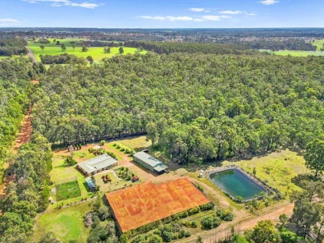 Discover a Unique Southern Forests Lifestyle