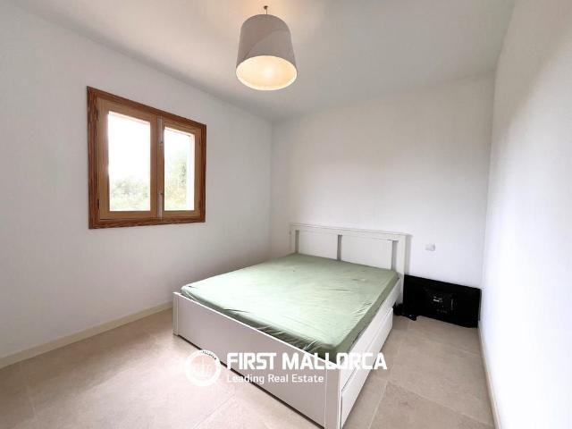 Diseminado Sa Curia Fosca, 572, 07630, Illes Balears, Spain, Campos, Balearic Islands 07630