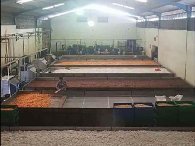 Disewakan Gudang di Mojosari