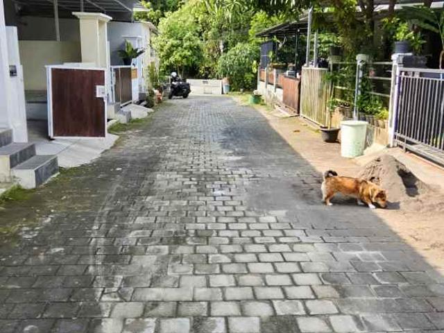 Disewakan Rumah Murah Bagus di The Royal Griya Loka Tabanan Bali