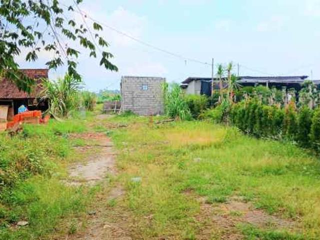 Disewakan Tanah di Darmasaba Abiansemal Badung Bali