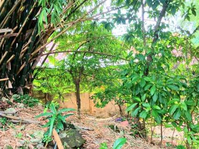 Disewakan Tanah Pinggir Sungai jl Sekar Sari Denpasar Bali