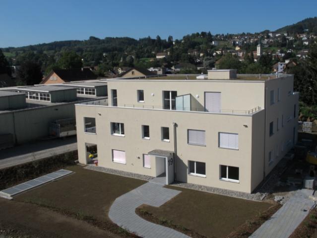 Disporaum in Menziken