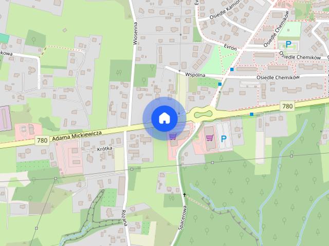 Do wynajęcia dom z ogrodem Alwernia