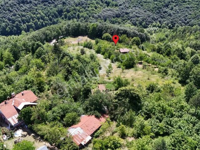 Doğa İçinde Satılık Müstakil Ahşap Ev Ve Bahçesi