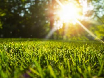 Do Not Miss the Final Opportunity to Secure Affordable Land in The Meadows at Warnervale