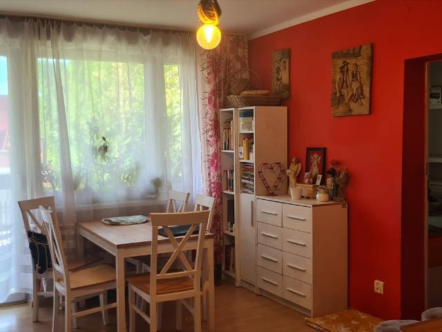 Do sprzedania mieszkanie 58 m² z ogródkami przy Krupówkach