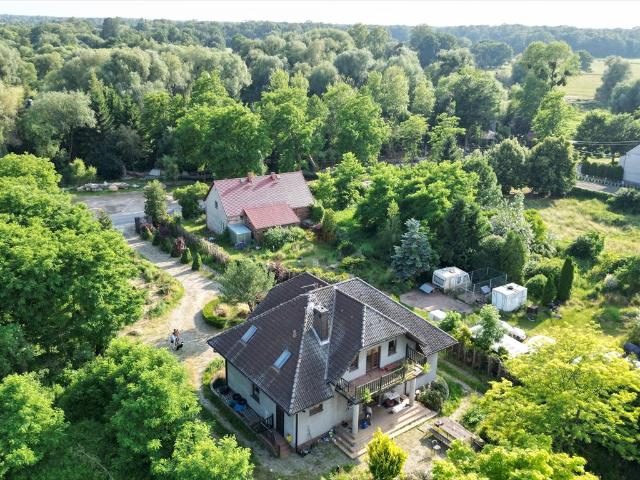 Do sprzedania przestronny dom 195 m² z sauną i dużą działką 4000 m²