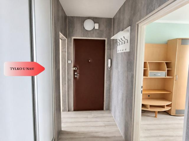 Do sprzedania przestronne 62,46 m² mieszkanie po remoncie z klimatyzacją