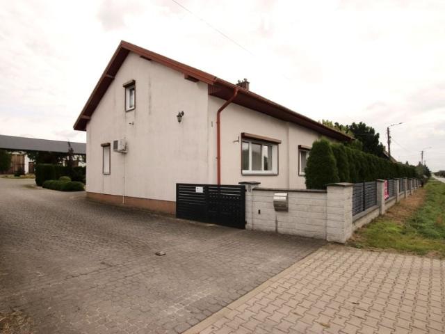 Dom 10 000 m², Koło