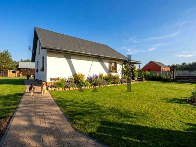 Dom 111 m², Zabagnie