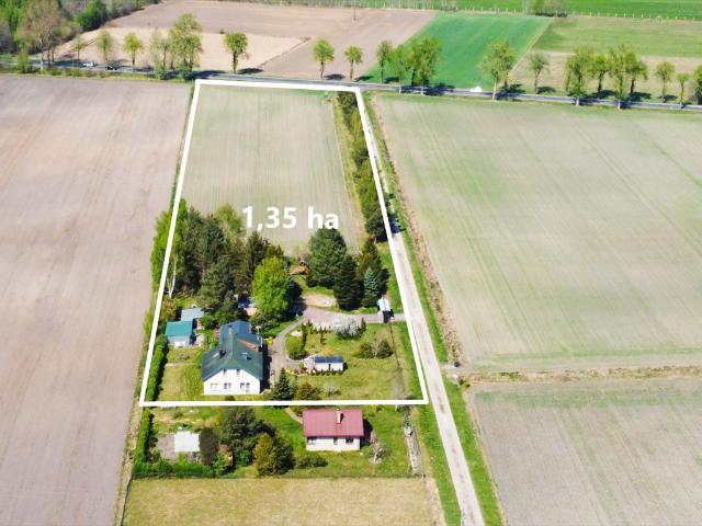 Dom 137 m2 z dużą działką w Domasławicach