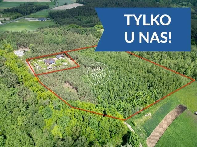 Dom 140 m² z lasem 2,3 ha i nowoczesnym wyposażeniem zapraszam