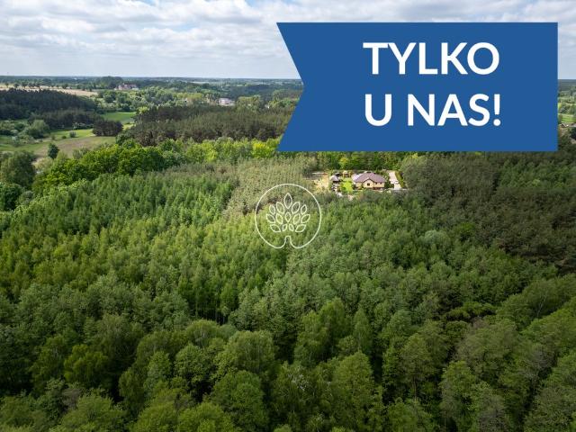 Dom 140m² z prywatnym lasem 2,3 ha w Bzówcu