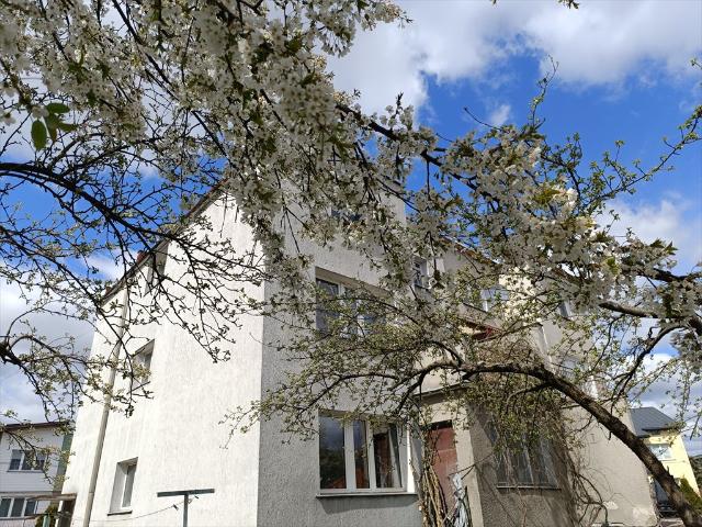 Dom 170 m² z poddaszem ogród z drzewami owocowymi