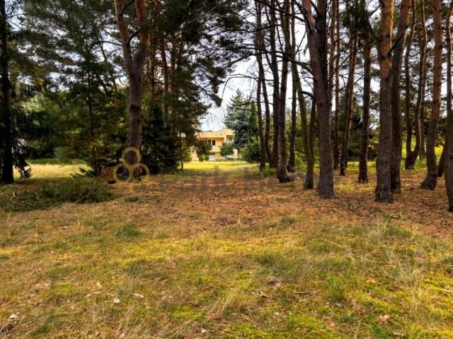 Dom 240 m², Radzewice