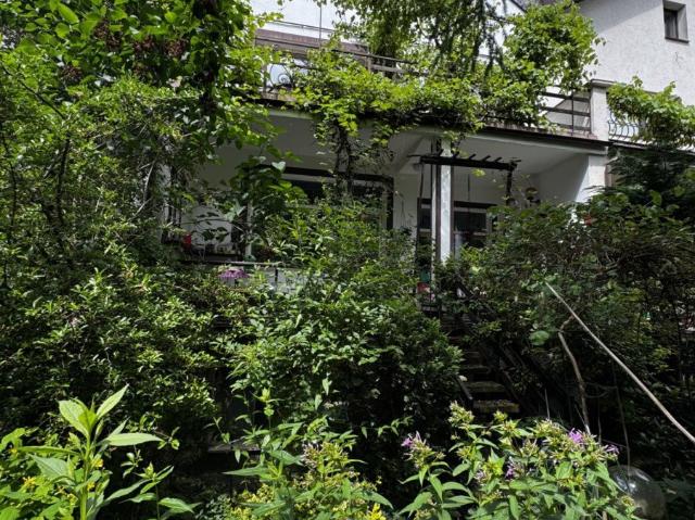 Dom 240 m² z ogrodem w Suchanino polecam