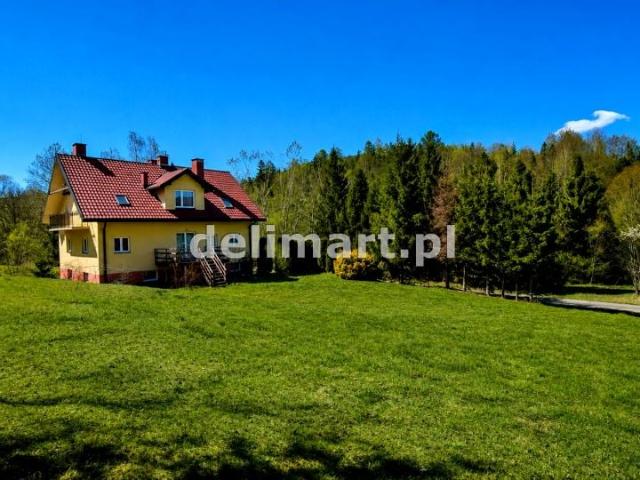 Dom 250 m², Strzebowiska