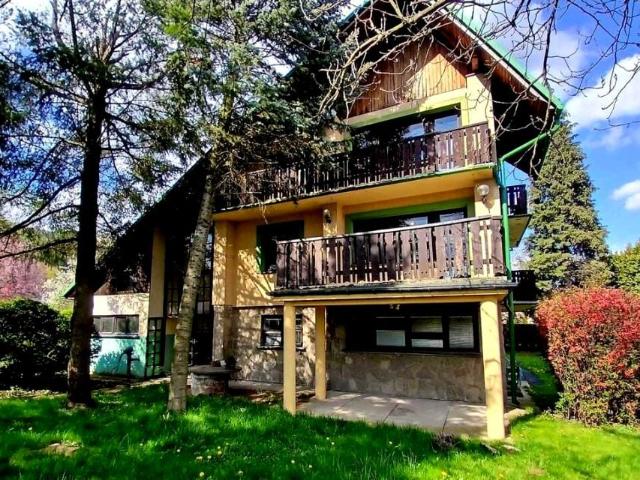 Dom 250 m², Węgierska Górka
