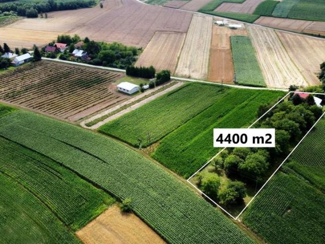 Dom 273 m², Rogóżno