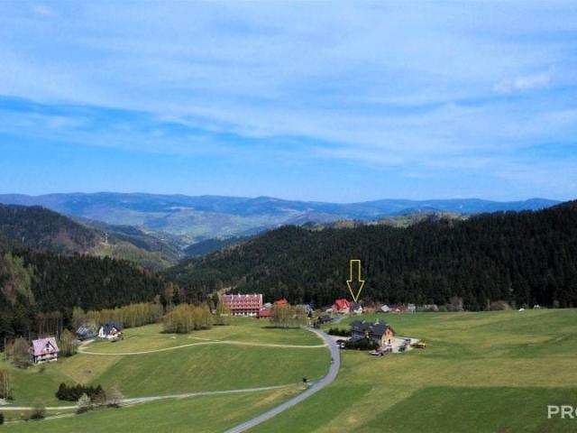 Dom 300 m², Piwniczna Zdrój