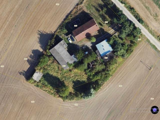 Dom 4 100 m², Nowa Wieś Malborska