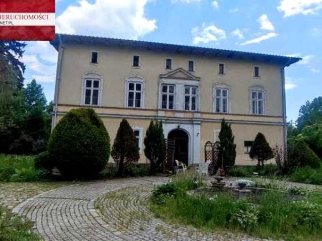 Dom 500 m², Międzylesie