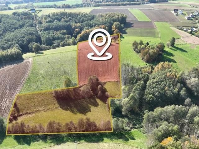 Dom 80 m², Brzeziny
