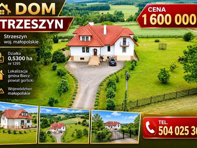 Dom, Biecz, Strzeszyn, 300.00 m², sprzedam dom