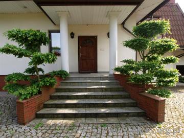 Dom do wynajęcia, Warszawski Zachodni Łomianki Dziekanów Polski, 9500 PLN, 280 m2, domy ACE DW 143670