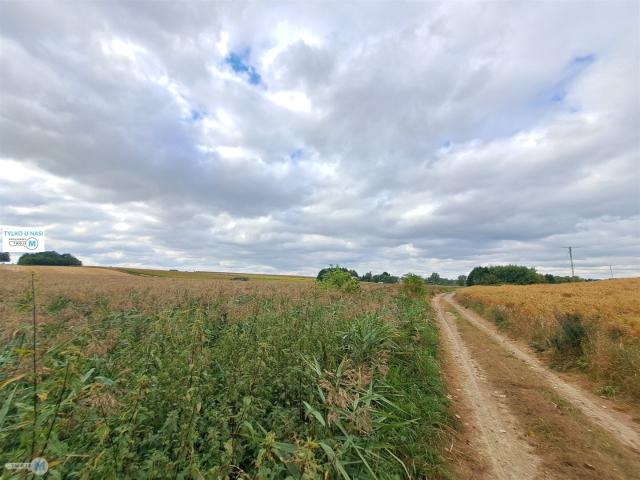 Dom, Ożarów, 57.00 m², sprzedam dom