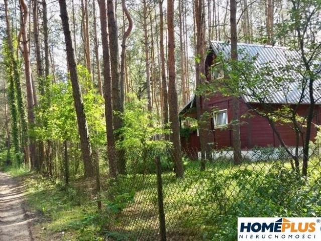 Polecam dom letniskowy 60 m² na działce 2000 m² w Łosiach
