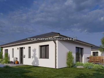 Dom na sprzedaż 4 pokoje wodzisławski, 103 m2, działka 555 m2