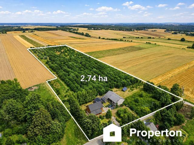 Dom na sprzedaż 4 pokoje olkuski, 141 m2, działka 38410 m2